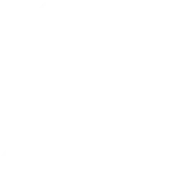 budget Logo